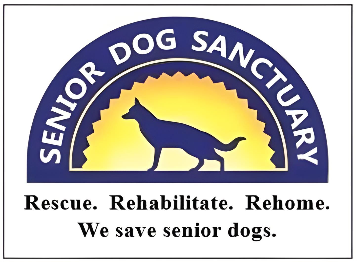 Senior Dog Sanctuary Support